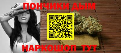 индика Новозыбков