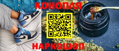 индика Новозыбков