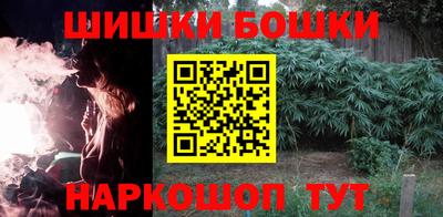 индика Новозыбков