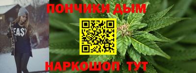 индика Новозыбков