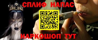 индика Новозыбков