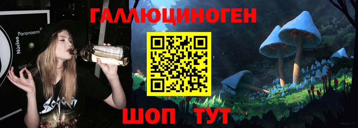 Галлюциногенные грибы Cubensis Соль-Илецк