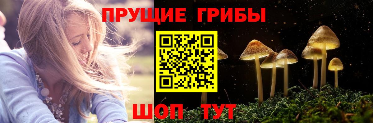 Соль-Илецк  Галлюциногенные грибы ЛСД  Вход с VPN  Галлюциногенные грибы Magic Shrooms 